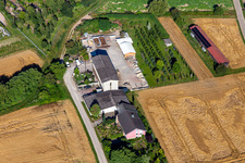 Grünpunkt & in Rheinzabern im Bundesland Rheinland-Pfalz, Deutschland