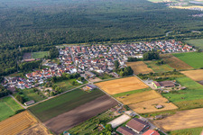 Riedrode von Norden in Bürstadt im Bundesland Hessen, Deutschland