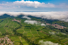 Weinberge am Rande des von Wolken verhangenen Pflälzerwalds zwischen Arzheim, Birkweiler und Ranschbach in Landau in der Pfalz im Bundesland Rheinland-Pfalz, Deutschland