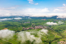 Weinberge der kleinen Kalmit am Rande des von Wolken verhangenen Pflälzerwalds zwischen Arzheim, Ilbeshheim und Eschbach in Ilbesheim bei Landau im Bundesland Rheinland-Pfalz, Deutschland