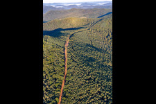 Trasse zur Neuerrichtung des Teilstücks der Trans-Europa-Naturgas-Pipeline (TENP-I zwischen den Niederlanden und der Schweiz) auf 51 km Länge zwischen Mittelbrunn und Klingenmünster im Bundesland Rheinland-Pfalz, Deutschland