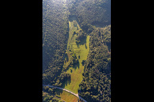 Lichtung im Seebachtal in Hinterweidenthal im Bundesland Rheinland-Pfalz, Deutschland