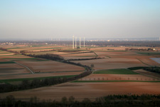 Windräder von Westen in Minfeld im Bundesland Rheinland-Pfalz, Deutschland