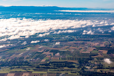 Windpark bei Freckenfeld in Hergersweiler im Bundesland Rheinland-Pfalz, Deutschland