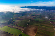 Elsass bis Schweigen unter Wolken im Ortsteil Deutschhof in Kapellen-Drusweiler im Bundesland Rheinland-Pfalz, Deutschland