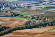 ASV Klares Wasser im Quodbachtal an der Fischerhütte in Insheim im Bundesland Rheinland-Pfalz, Deutschland