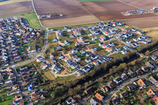 Schrägluftbild von Rosenweg in Kandel im Bundesland Rheinland-Pfalz, Deutschland