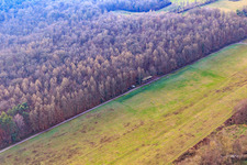 MSV Rülzheim eV im Bundesland Rheinland-Pfalz, Deutschland