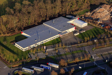 Schrägluftbild von Thermo Fisher am Erlenbachweg im Ortsteil Minderslachen in Kandel im Bundesland Rheinland-Pfalz, Deutschland