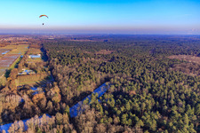 Gefrorene Fischweiher am Bienwaldrand in Steinfeld im Bundesland Rheinland-Pfalz, Deutschland