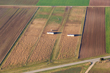 Mobile Hühnerställe in Offenbach an der Queich im Bundesland Rheinland-Pfalz, Deutschland