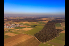 Ortsansicht aus Westen in Steinweiler im Bundesland Rheinland-Pfalz, Deutschland