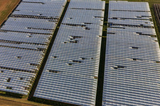 Landwirtschaftlicher Anbau unter Folientunnel in Insheim im Bundesland Rheinland-Pfalz, Deutschland