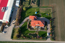 Gemüseanbau - Dieter Stubenbordt in Zeiskam im Bundesland Rheinland-Pfalz, Deutschland aus der Drohnenperspektive