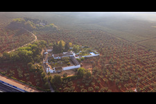 Hacienda nueva del Rosario zwischen Olivenbaumplantagen an der A-4 Autovia del Sur in Dos Hermanas im Bundesland Sevilla, Spanien