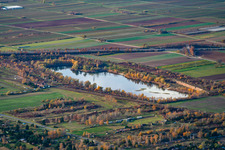 Mußbacher Baggerweiher im Ortsteil Mußbach an der Weinstraße in Neustadt an der Weinstraße im Bundesland Rheinland-Pfalz, Deutschland