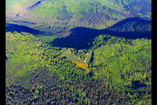 Luftbild von CHÂTEAU DU HUNEBOURG aus Osten in Dossenheim-sur-Zinsel im Bundesland Bas-Rhin, Frankreich
