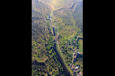 Luftaufnahme von Fischteiche am Meisenbach in Sparsbach im Bundesland Bas-Rhin, Frankreich