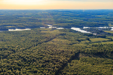 Grand Étang de Mittersheim - Grüner See genannt - aus Osten im Bundesland Moselle, Frankreich
