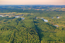 Wald vor dem Mittersheimer See aus Westen im Bundesland Moselle, Frankreich