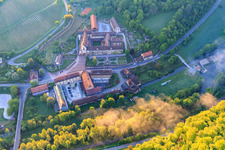 Hotel Kloster Bronnbach mit Abteigarten,  Abteikirche Mariä Himmelfahrt und Missionare d. Heiligen Familie Kloster Bronnbach in Wertheim im Bundesland Baden-Württemberg, Deutschland