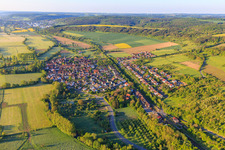 Luftbild von Ortsansicht im lieblichen Taubertal am Morgen aus Norden im Ortsteil Hochhausen in Tauberbischofsheim im Bundesland Baden-Württemberg, Deutschland