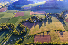 Mäandernder Flußverlauf im lieblichen Taubertal am Morgen aus Westen im Ortsteil Hochhausen in Tauberbischofsheim im Bundesland Baden-Württemberg, Deutschland