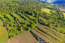 Weikersheimer Wartturm und Weinberge mit Weinlage Weikersheimer Schmecker im Bundesland Baden-Württemberg, Deutschland