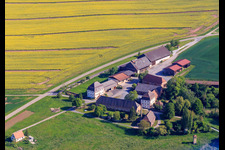 Schafhof im Ortsteil Bronnbach in Wertheim im Bundesland Baden-Württemberg, Deutschland