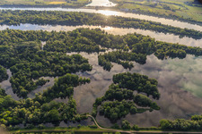 Herrenkopfbrücke im Naturschutzgebiet Taubergiessen zwischen Rheinauen und Rhein in Ortenaukreis im Bundesland Baden-Württemberg, Deutschland