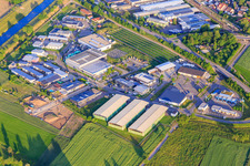 Industriegebiet Im Kleinfeldele mit Götz + Moriz GmbH - Baustoffe , Herbert Hipp Verpackungs GmbH und  Holzhack-Willmann in Riegel am Kaiserstuhl im Bundesland Baden-Württemberg, Deutschland