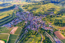 Winzerdorfansicht aus Süden im Ortsteil Bombach in Kenzingen im Bundesland Baden-Württemberg, Deutschland