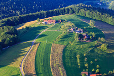 Ferienwohnung im Brennhaus im Ortsteil Reichenbach in Freiamt im Bundesland Baden-Württemberg, Deutschland