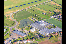 Göppert Gartencenter GmbH im Ortsteil Bollenbach in Haslach im Kinzigtal im Bundesland Baden-Württemberg, Deutschland