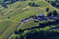 Aussichtsrestaurant Heubergturm / zum Heuberg auf dem Weinberg in Ettenheim im Bundesland Baden-Württemberg, Deutschland