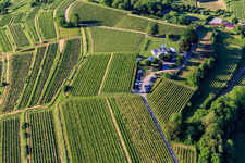 Luftbild von Aussichtsrestaurant Heubergturm / zum Heuberg auf dem Weinberg in Ettenheim im Bundesland Baden-Württemberg, Deutschland