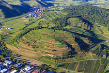 Weinberge am Kaiserstuhl von Westen im Ortsteil Achkarren in Vogtsburg im Kaiserstuhl im Bundesland Baden-Württemberg, Deutschland