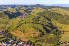 Luftbild von Weinberge am Kaiserstuhl von Westen im Ortsteil Achkarren in Vogtsburg im Kaiserstuhl im Bundesland Baden-Württemberg, Deutschland