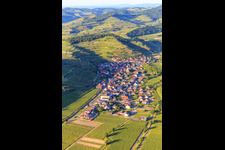 Winzerdorf im Kaiserstuhl aus Südwesten im Ortsteil Achkarren in Vogtsburg im Kaiserstuhl im Bundesland Baden-Württemberg, Deutschland
