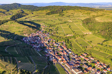 Winzerdorf im Kaiserstuhl aus Westen im Ortsteil Achkarren in Vogtsburg im Kaiserstuhl im Bundesland Baden-Württemberg, Deutschland