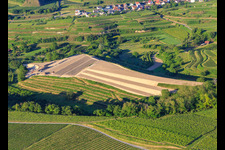Baustelle zur Neuplanierung von Terassenweinberg im Ortsteil Bickensohl in Vogtsburg im Kaiserstuhl im Bundesland Baden-Württemberg, Deutschland