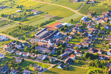 Weinkellerei Bischoffinger Winzer eG am Tennisplatz und Festhalle Bischoffingen in Vogtsburg im Kaiserstuhl im Bundesland Baden-Württemberg, Deutschland