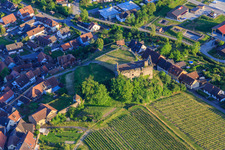 Ruine des Schloss Burkheim über dem Weinberg in Vogtsburg im Kaiserstuhl im Bundesland Baden-Württemberg, Deutschland