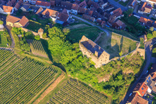 Luftbild von Ruine des Schloss Burkheim über dem Weinberg in Vogtsburg im Kaiserstuhl im Bundesland Baden-Württemberg, Deutschland