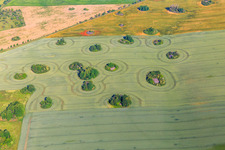 Eiszeitliche Kameshügel bilden unbewirtschaftbare Lücken auf den Feldern im Ortsteil Arnstedt in Arnstein im Bundesland Sachsen-Anhalt, Deutschland