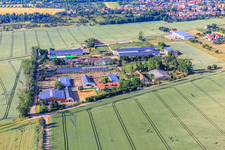 Buchenhof Ballenstedt im Ortsteil Rieder im Bundesland Sachsen-Anhalt, Deutschland