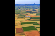 Bohrgelände des Tiefenbohrplatz V20 von Vercana GmbH für Vulcan Energy am Schleidberg zur Förderung von Geothermie und Lithium in Insheim im Bundesland Rheinland-Pfalz, Deutschland aus der Drohnenperspektive