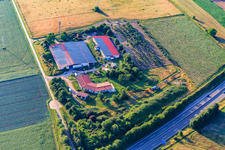 Geflügelhof Familie Schönung in Erlenbach bei Kandel im Bundesland Rheinland-Pfalz, Deutschland