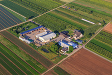 Bauers Garten in Winden im Bundesland Rheinland-Pfalz, Deutschland aus der Drohnenperspektive