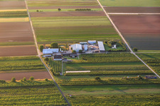 Bauers Garten in Winden im Bundesland Rheinland-Pfalz, Deutschland von der Drohne aus gesehen